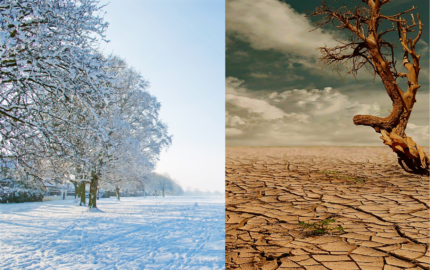 Harsh environments. Snow and desert