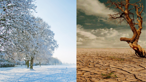 Harsh environments. Snow and desert